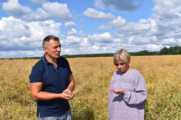 В Ленинградской области началась уборка зерновых