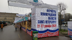 Предновогодняя фермерская  ярмарка на Московской площади
