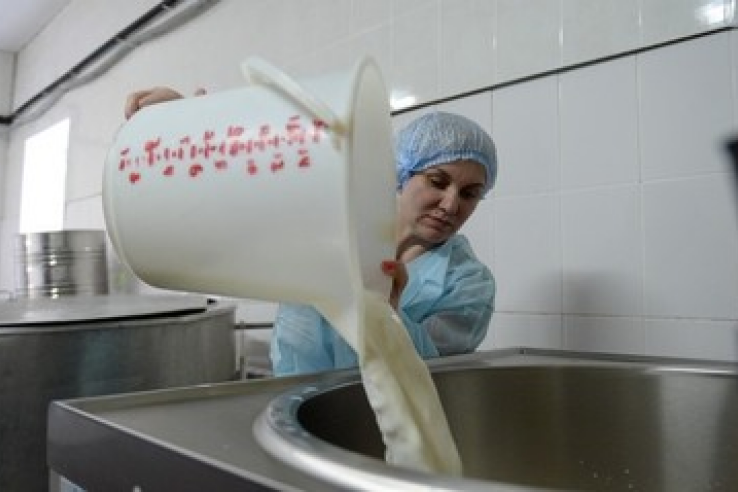 Порядки получения субсидии на молоко упрощены