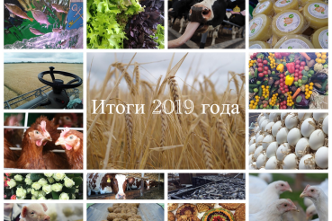 Итоги работы агропромышленного комплекса Ленинградской области в 2019 году