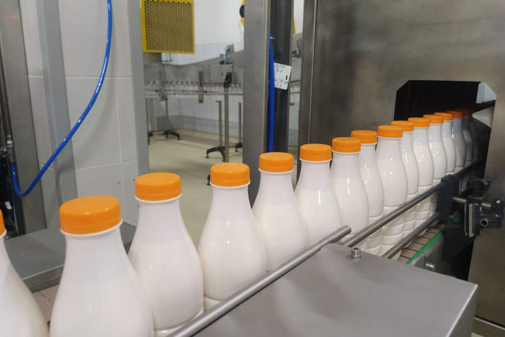 В Гатчине открылась новая линия по розливу молока