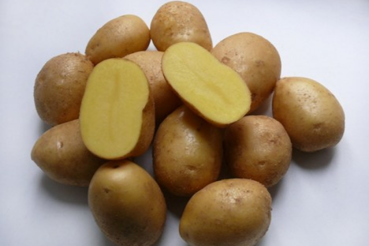 Семенной картофель к  реализации