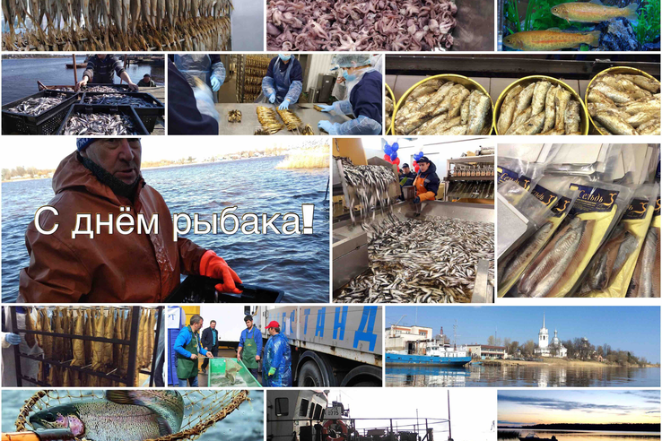 Обращение Правительства Ленинградской области по случаю Дня рыбака