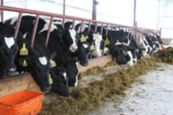 IX съезд Национального союза производителей молока